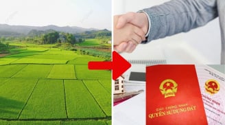 Tất tần tật về thủ tục, hồ sơ chuyển đất hoa màu sang đất thổ cư