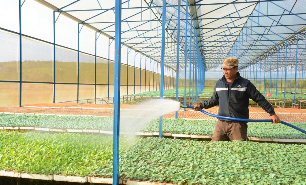 Nông nghiệp Công nghệ cao tại Đắk Nông