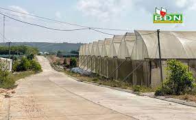 Nhiều mô hình nông nghiệp công nghệ cao đang hình thành tại Đắk Nông