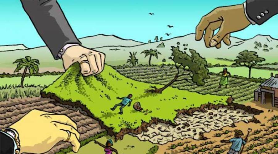 Tranh chấp đất đai không có sổ đỏ làm sao?