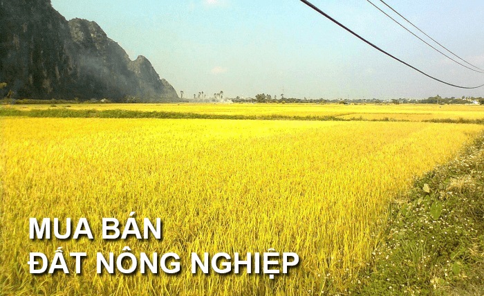 Bảng giá đất - giá đất nông nghiệp