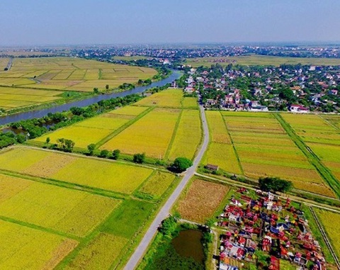 Đất nông nghiệp đất trồng cây