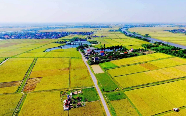 đánh giá lại tài sản đất nông nghiệp 